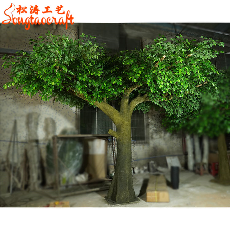 分叉假樹(shù)榕樹(shù)